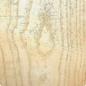 Ash wood texture